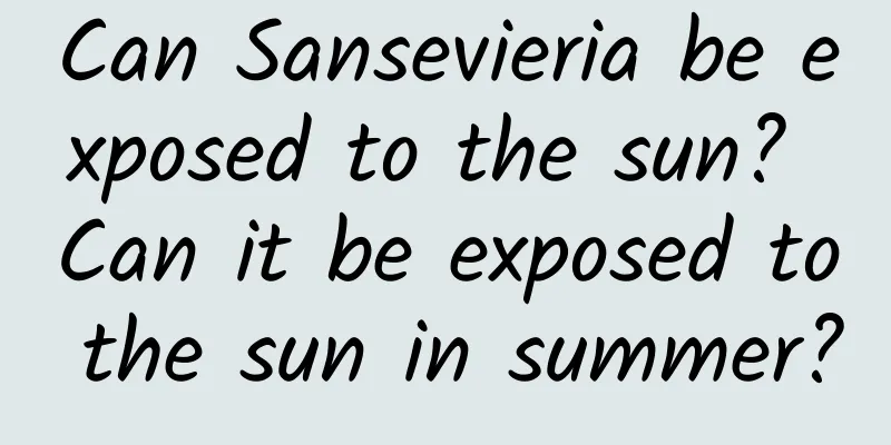 Can Sansevieria be exposed to the sun? Can it be exposed to the sun in summer?