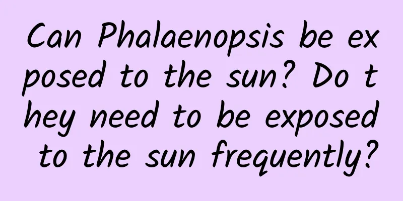 Can Phalaenopsis be exposed to the sun? Do they need to be exposed to the sun frequently?