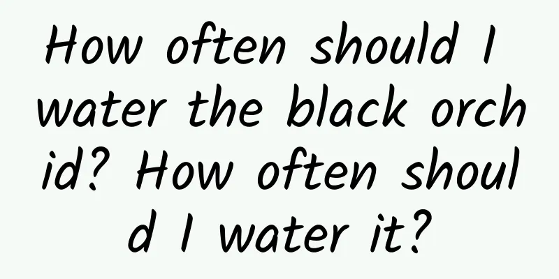 How often should I water the black orchid? How often should I water it?