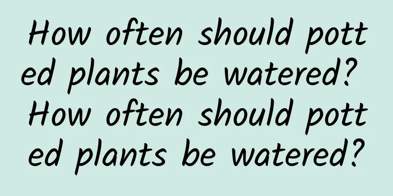 How often should potted plants be watered? How often should potted plants be watered?