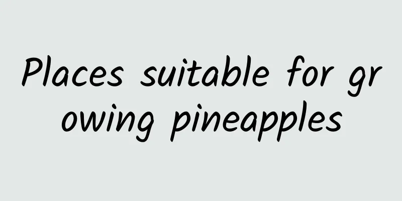 Places suitable for growing pineapples