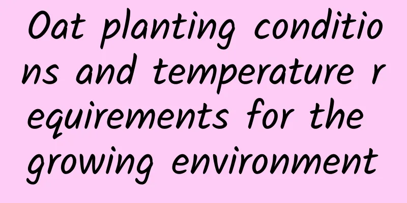 Oat planting conditions and temperature requirements for the growing environment