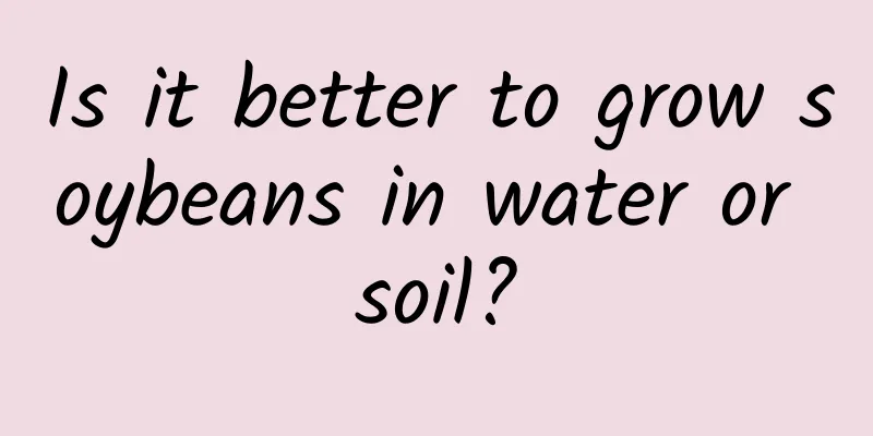 Is it better to grow soybeans in water or soil?