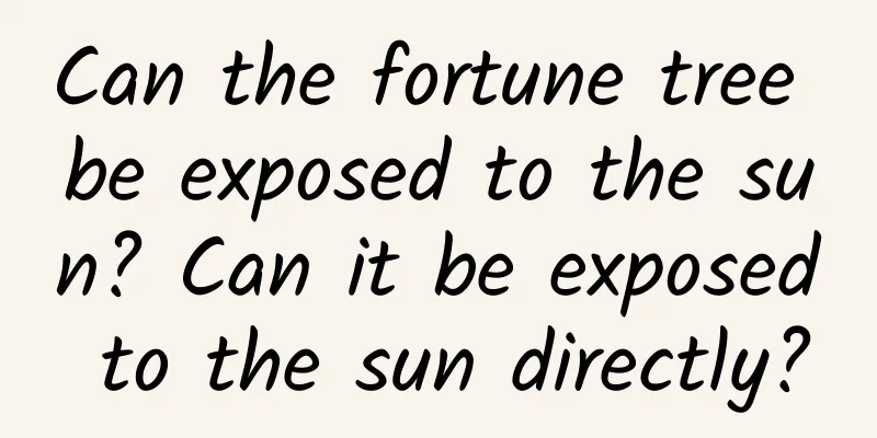 Can the fortune tree be exposed to the sun? Can it be exposed to the sun directly?
