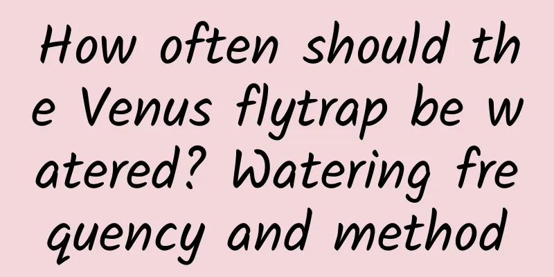 How often should the Venus flytrap be watered? Watering frequency and method