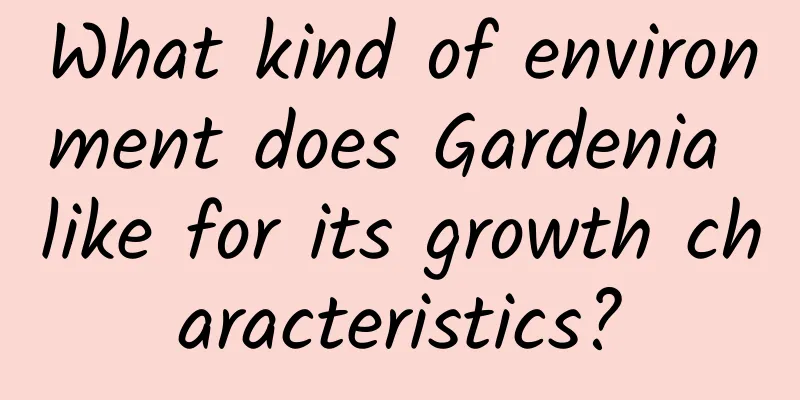 What kind of environment does Gardenia like for its growth characteristics?