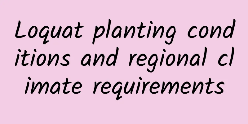 Loquat planting conditions and regional climate requirements