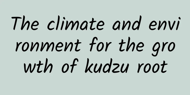 The climate and environment for the growth of kudzu root