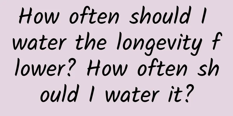 How often should I water the longevity flower? How often should I water it?