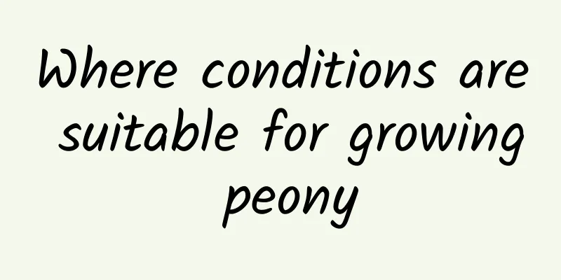 Where conditions are suitable for growing peony