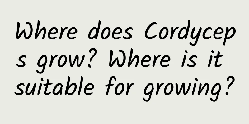 Where does Cordyceps grow? Where is it suitable for growing?