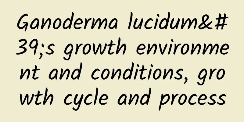 Ganoderma lucidum's growth environment and conditions, growth cycle and process