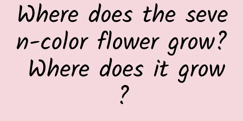 Where does the seven-color flower grow? Where does it grow?