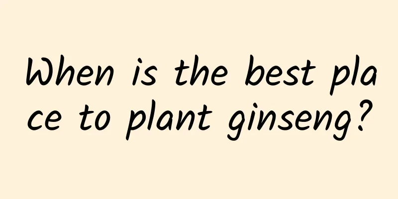 When is the best place to plant ginseng?