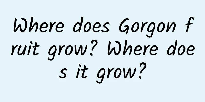 Where does Gorgon fruit grow? Where does it grow?