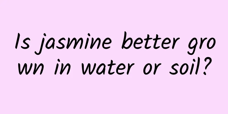 Is jasmine better grown in water or soil?