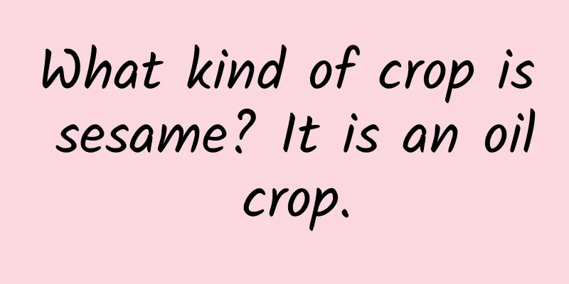 What kind of crop is sesame? It is an oil crop.