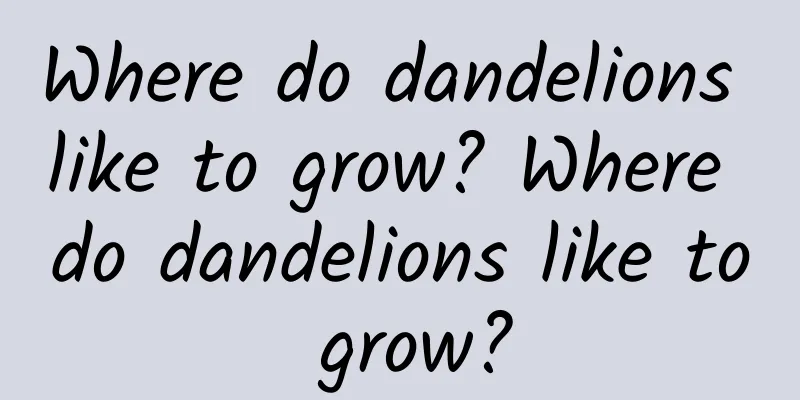 Where do dandelions like to grow? Where do dandelions like to grow?