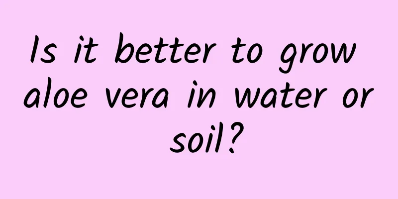 Is it better to grow aloe vera in water or soil?