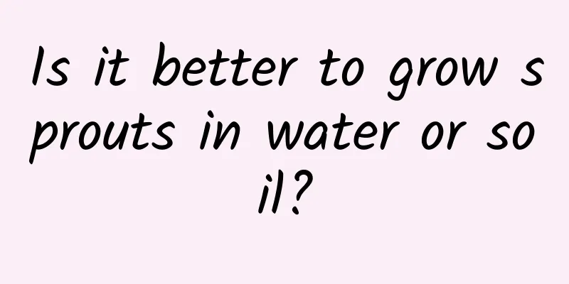 Is it better to grow sprouts in water or soil?