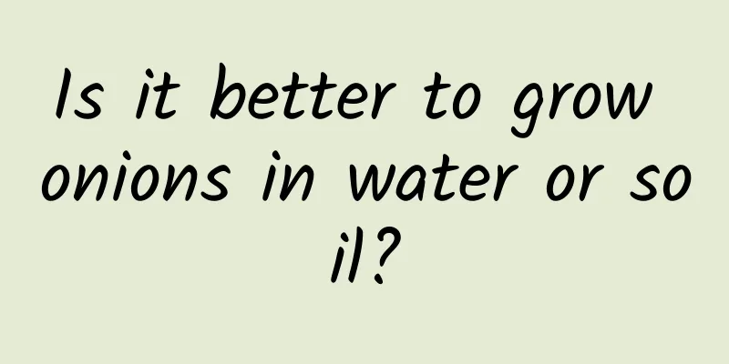 Is it better to grow onions in water or soil?