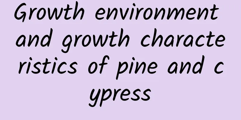Growth environment and growth characteristics of pine and cypress
