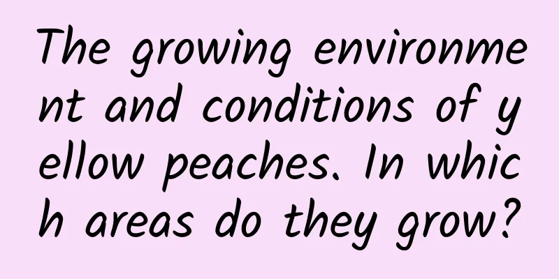 The growing environment and conditions of yellow peaches. In which areas do they grow?