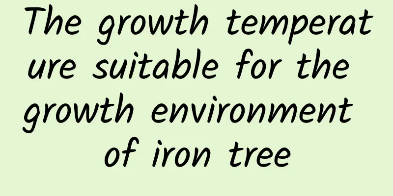 The growth temperature suitable for the growth environment of iron tree