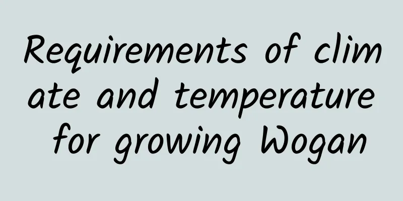 Requirements of climate and temperature for growing Wogan