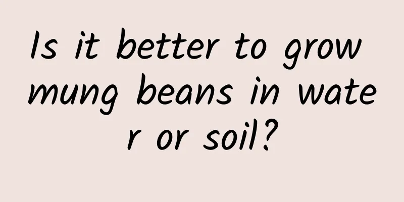 Is it better to grow mung beans in water or soil?