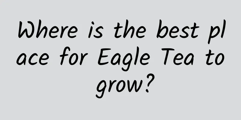 Where is the best place for Eagle Tea to grow?