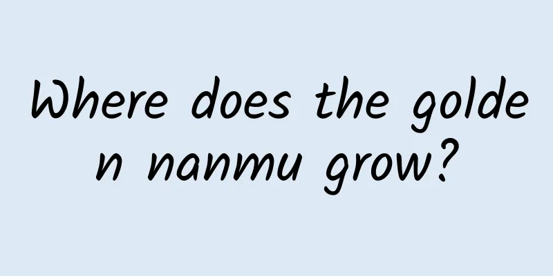 Where does the golden nanmu grow?