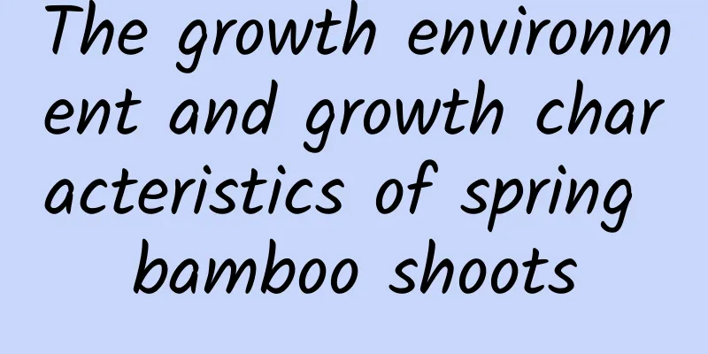 The growth environment and growth characteristics of spring bamboo shoots