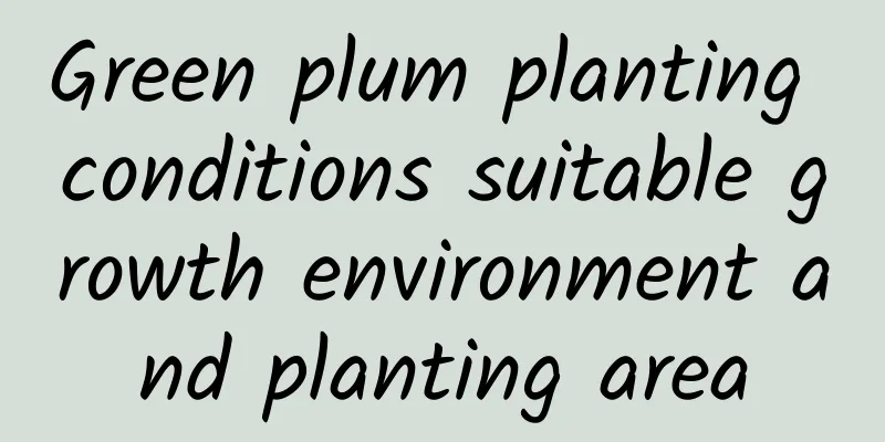 Green plum planting conditions suitable growth environment and planting area