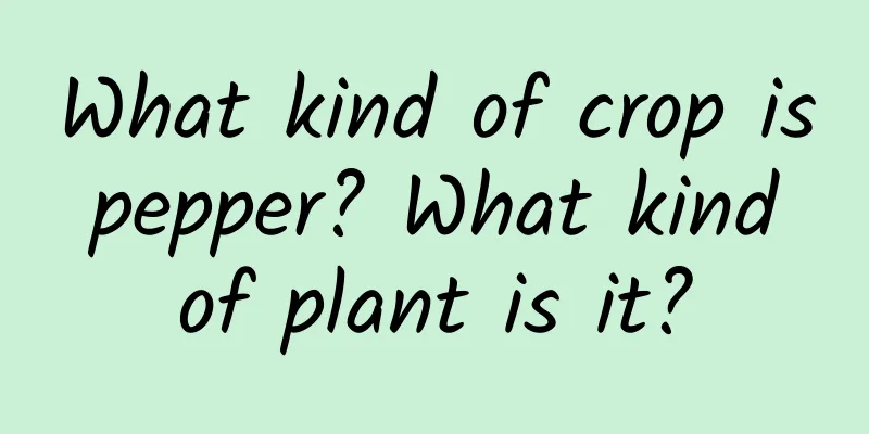 What kind of crop is pepper? What kind of plant is it?