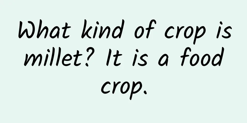 What kind of crop is millet? It is a food crop.