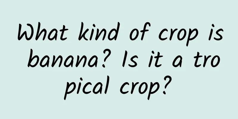 What kind of crop is banana? Is it a tropical crop?