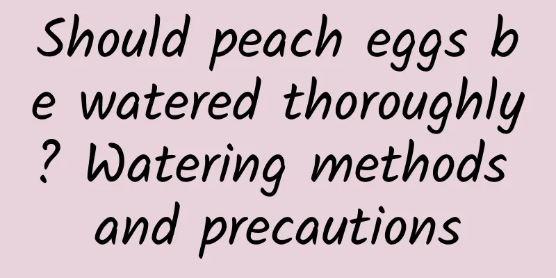 Should peach eggs be watered thoroughly? Watering methods and precautions