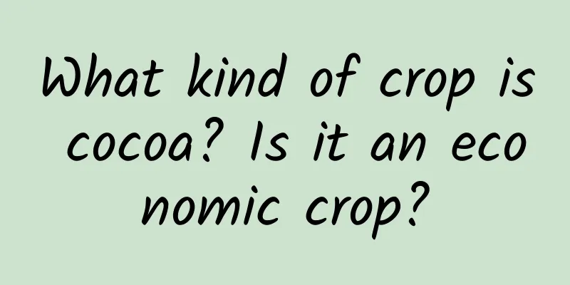 What kind of crop is cocoa? Is it an economic crop?