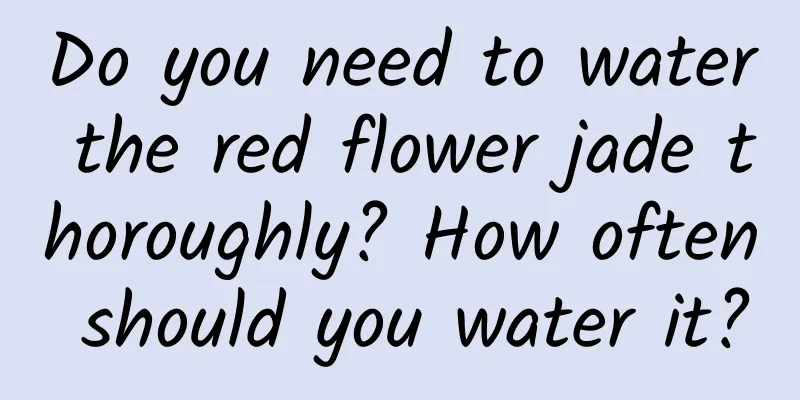 Do you need to water the red flower jade thoroughly? How often should you water it?