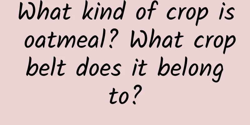 What kind of crop is oatmeal? What crop belt does it belong to?