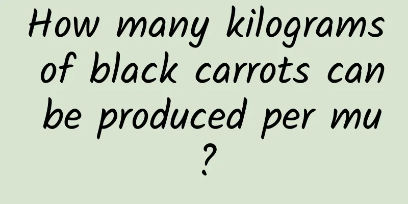 How many kilograms of black carrots can be produced per mu?