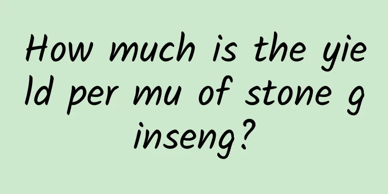 How much is the yield per mu of stone ginseng?