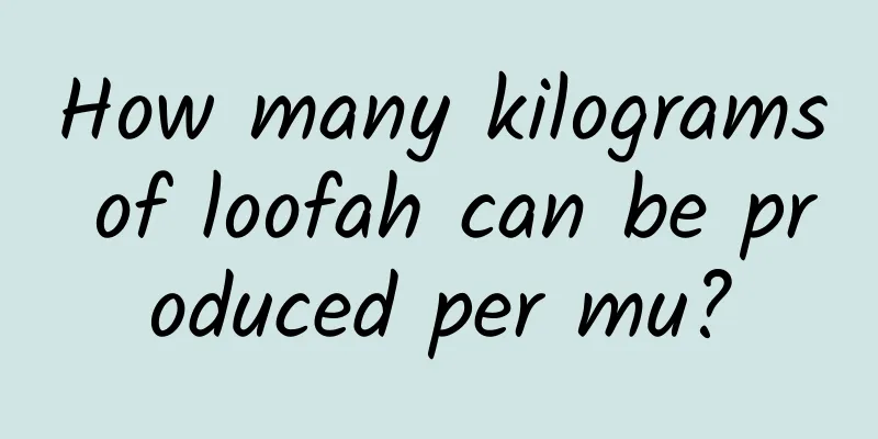 How many kilograms of loofah can be produced per mu?