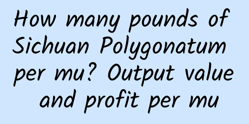 How many pounds of Sichuan Polygonatum per mu? Output value and profit per mu