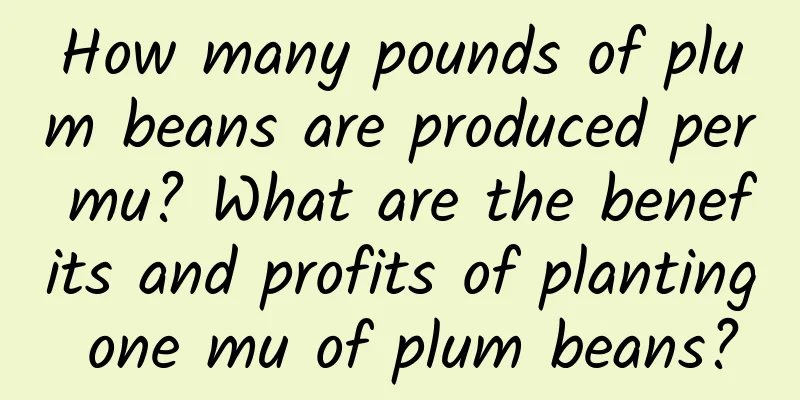 How many pounds of plum beans are produced per mu? What are the benefits and profits of planting one mu of plum beans?