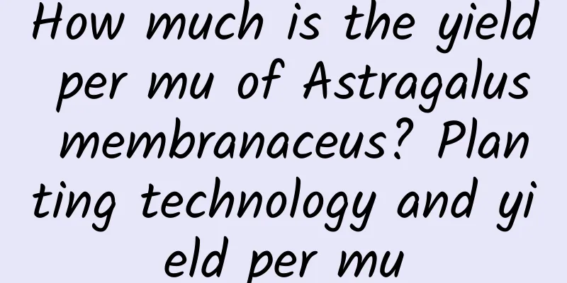 How much is the yield per mu of Astragalus membranaceus? Planting technology and yield per mu