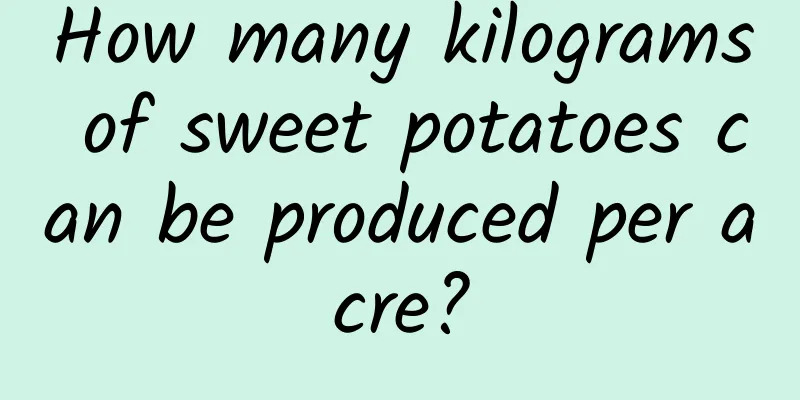 How many kilograms of sweet potatoes can be produced per acre?