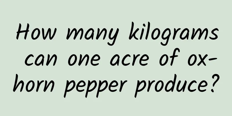 How many kilograms can one acre of ox-horn pepper produce?