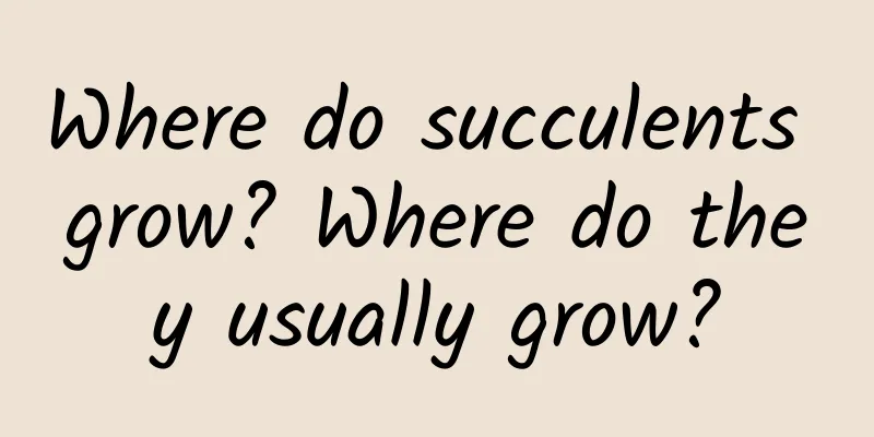 Where do succulents grow? Where do they usually grow?